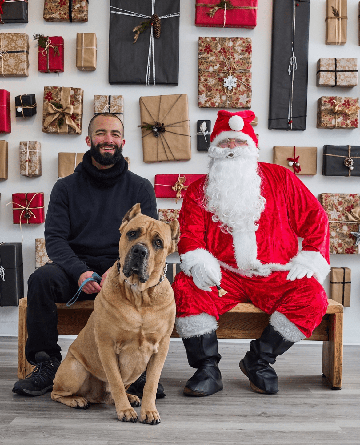 Northeast Ohio Dog Trainer Guarantees He Can Get Your Dog to Listen to You