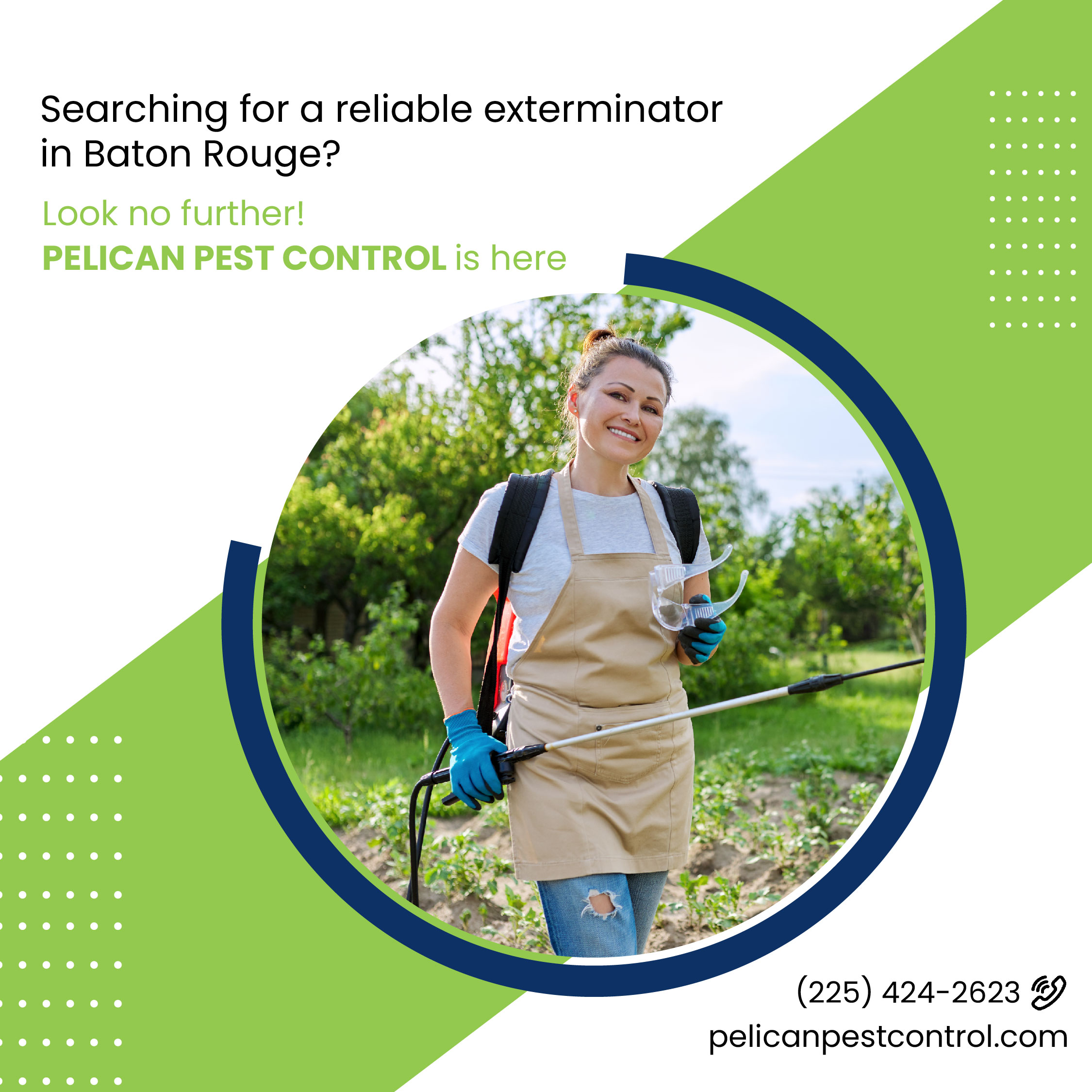 Pelican Pest Control: Baton Rouge's Trusted Partner for Year-Round Pest Extermination and Property Protection