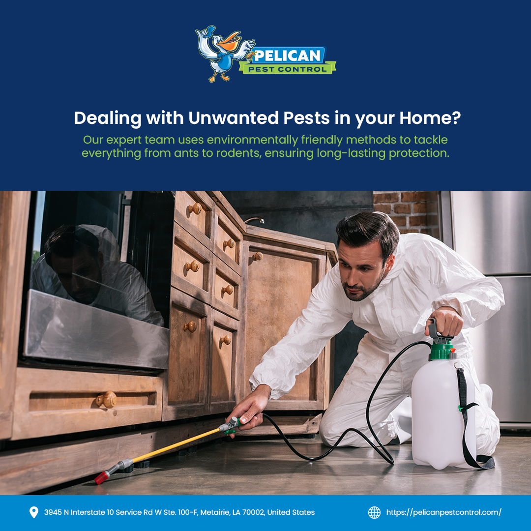 Pelican Pest Control Delivers Trusted Pest Removal Services for Homes and Businesses in New Orleans