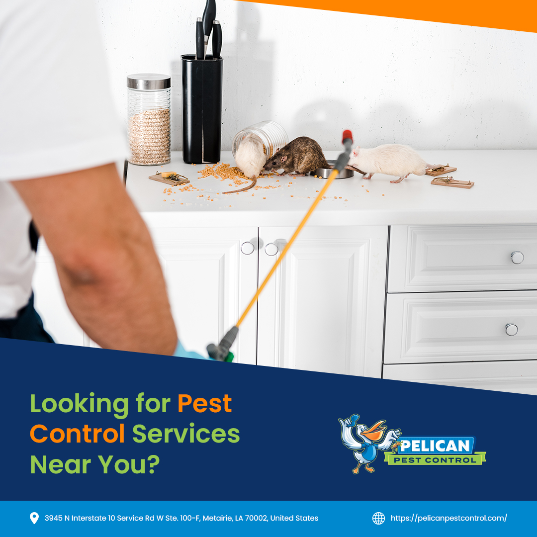 Pelican Pest Control: Year-Round Eco-Friendly Solutions for Pests in New Orleans