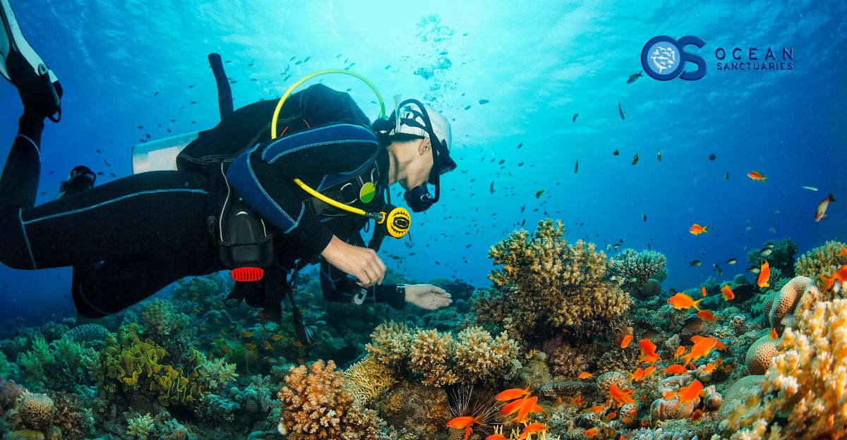 AI Revolutionizes Marine Conservation: Empowering Citizen Scientists in Ocean Research