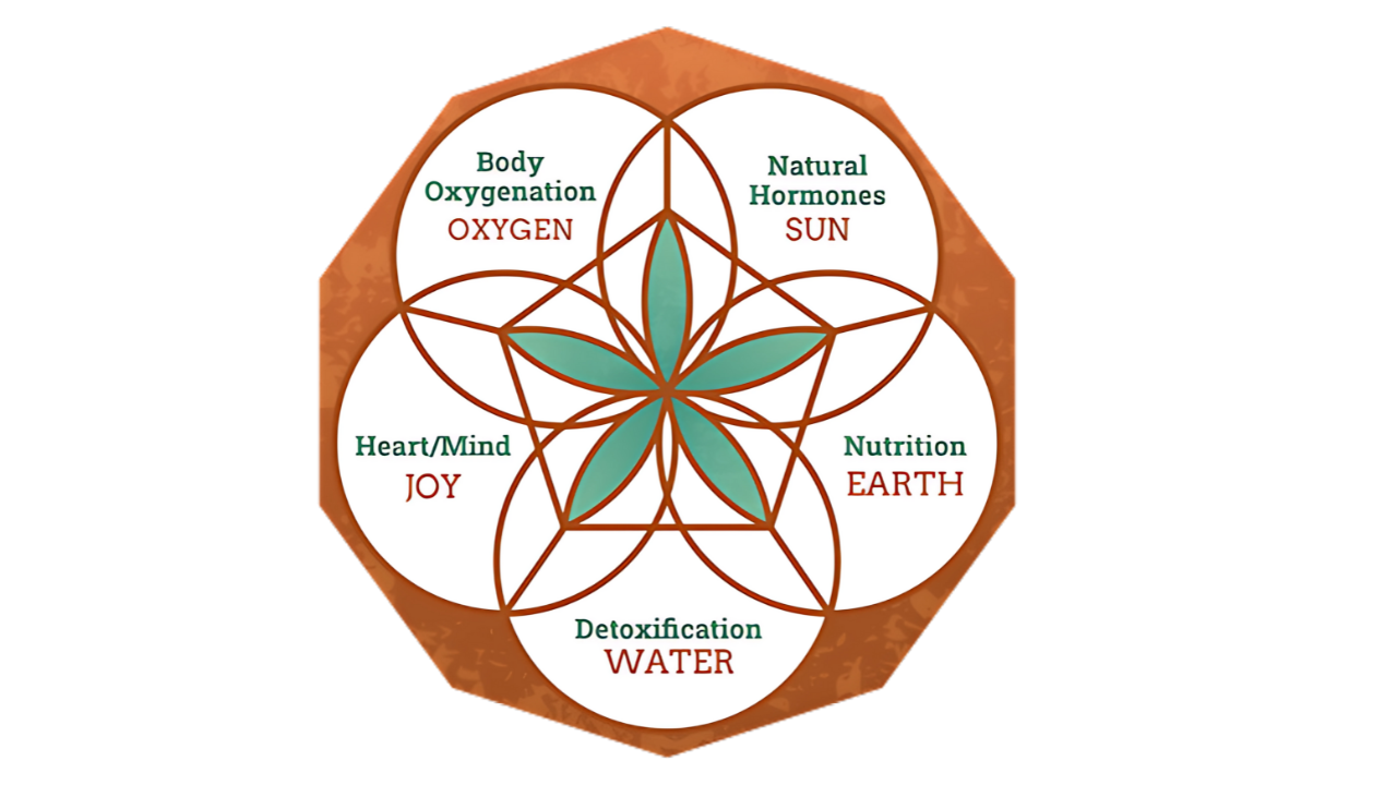 GlowSpring Health Explores Holistic Approaches to Gut Health
