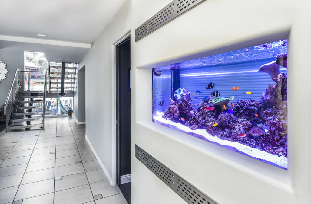 Age of Aquariums To Forge Strategic Alliance With Bliss Drive to Boost Digital Outreach