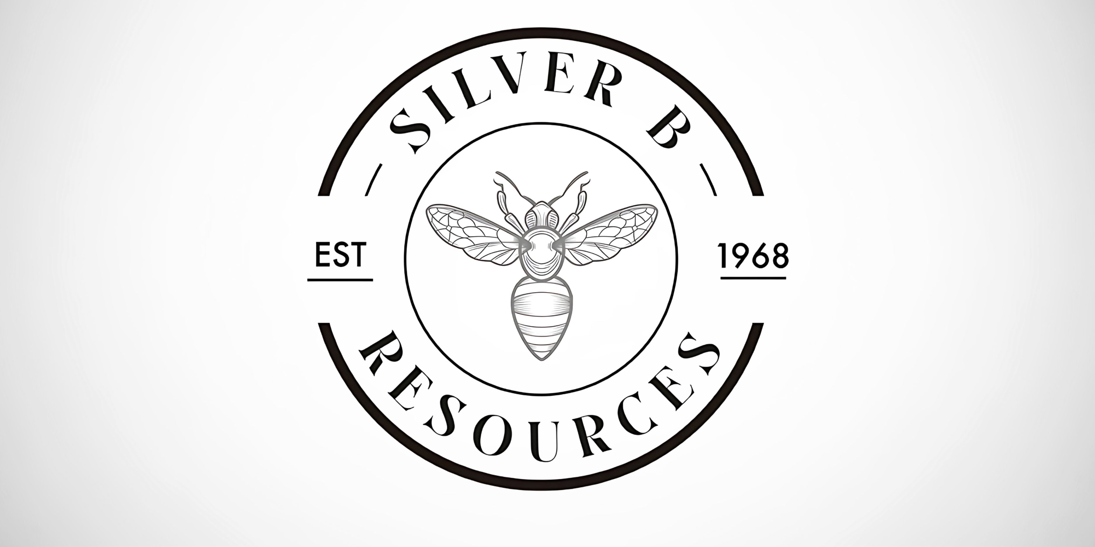 Trust Your Gut for Massive Success: Bonnie L. Silver Shares Her Entrepreneurial Insights