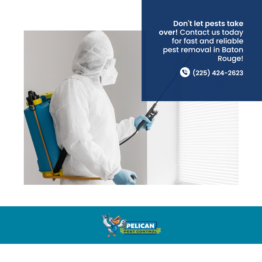 Pelican Pest Control Offering Expert Commercial Pest Control Services in Baton Rouge
