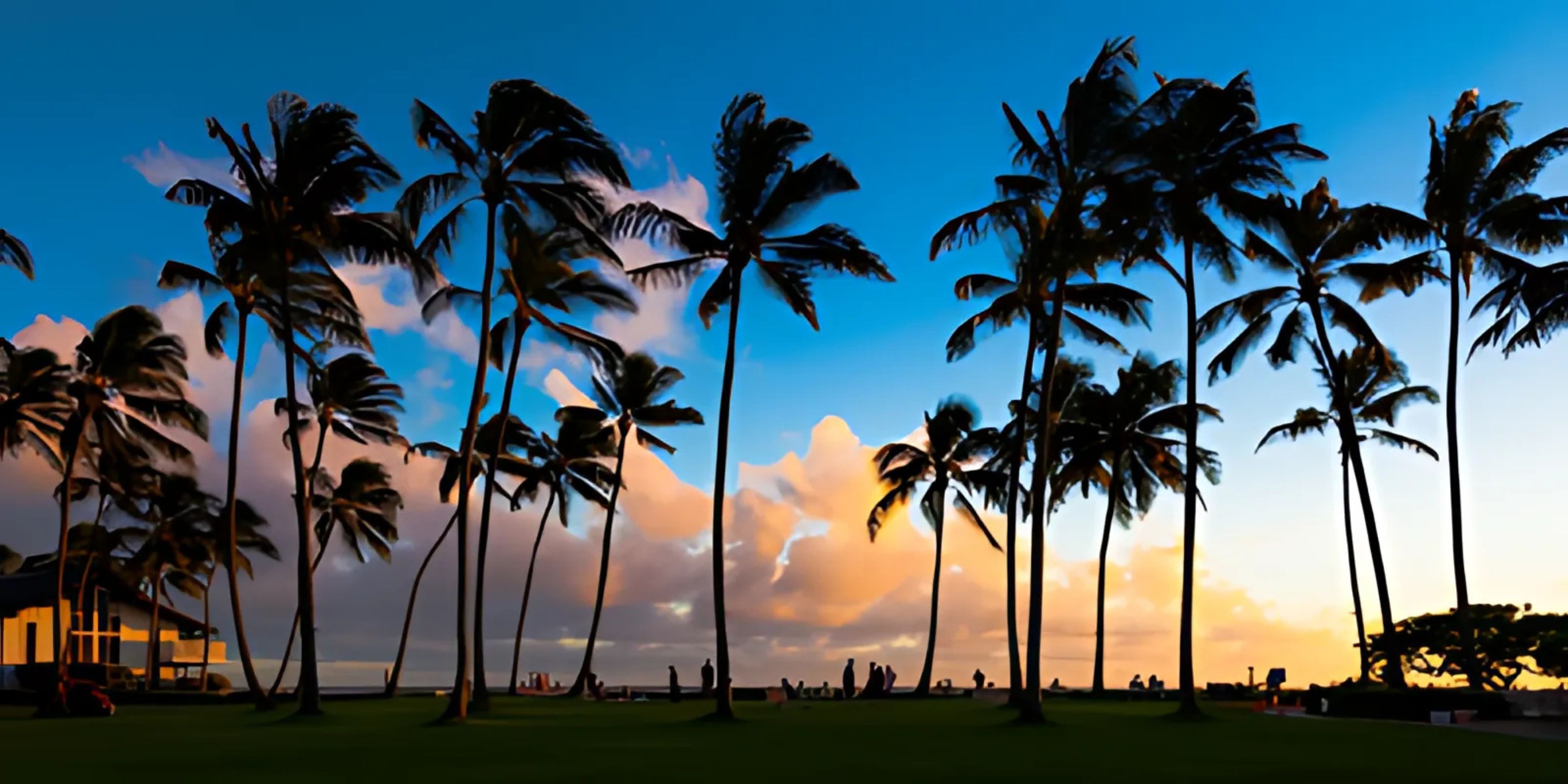 Ocean Breeze Adventures Travel Agency Redefines Transformational Travel Experiences