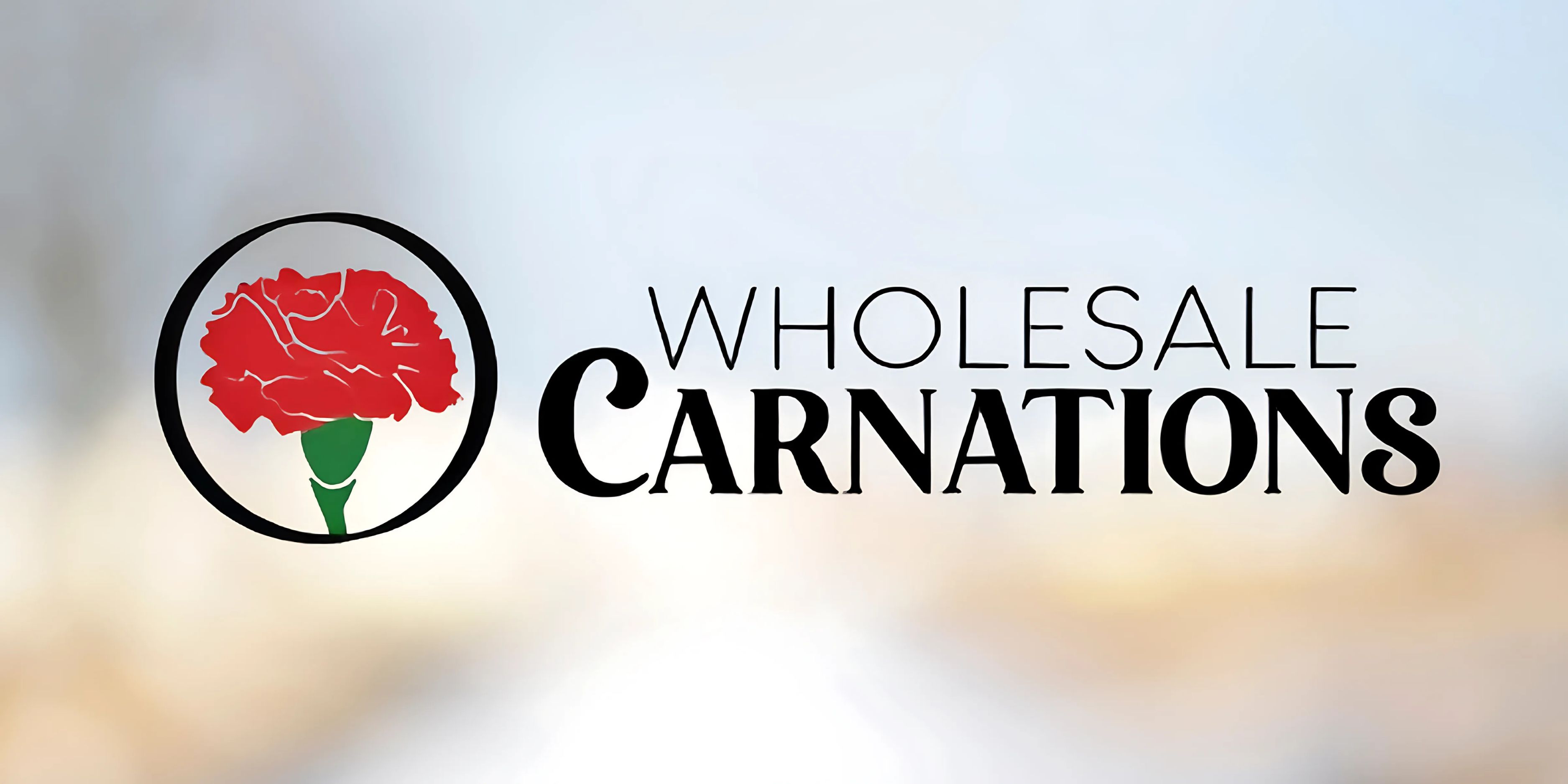 Where To Order Bulk Wholesale Carnations Online: WholesaleCarnations.com