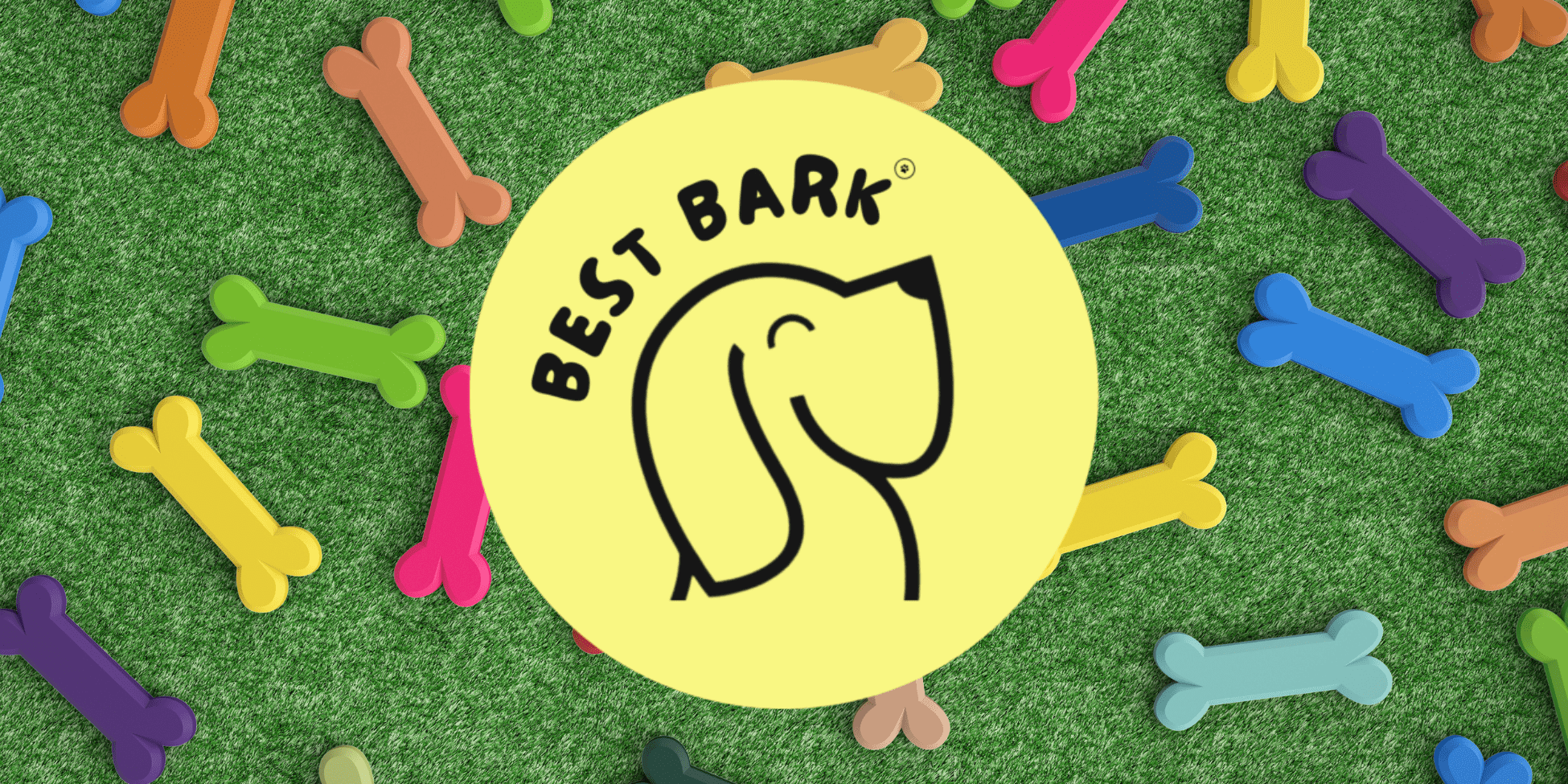 Best Bark Is the New Go-To Guide for Dog-Friendly Living in the UK