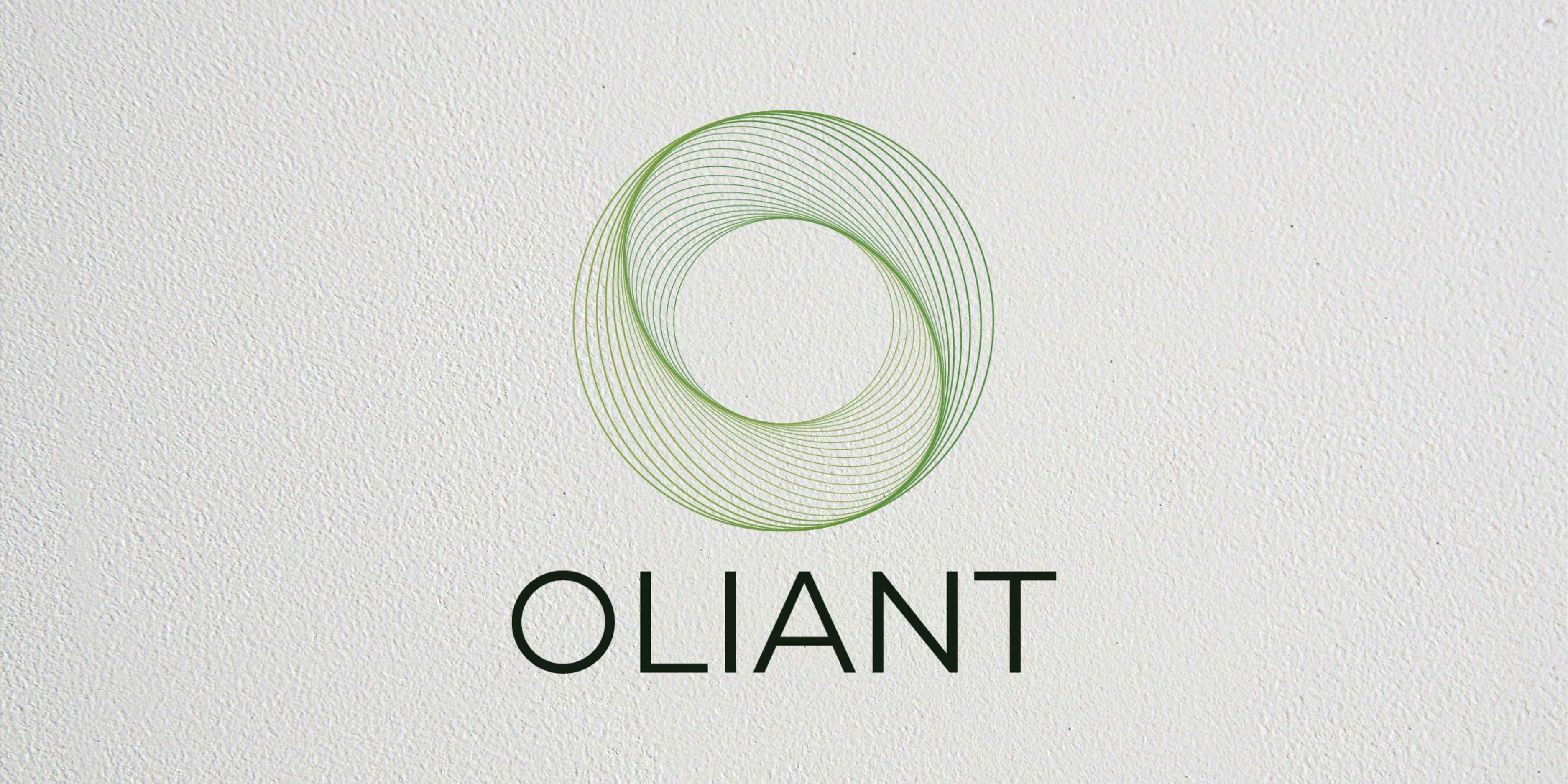 Oliant Builds Global Software Solutions With Lean Delivery And Technical Expertise