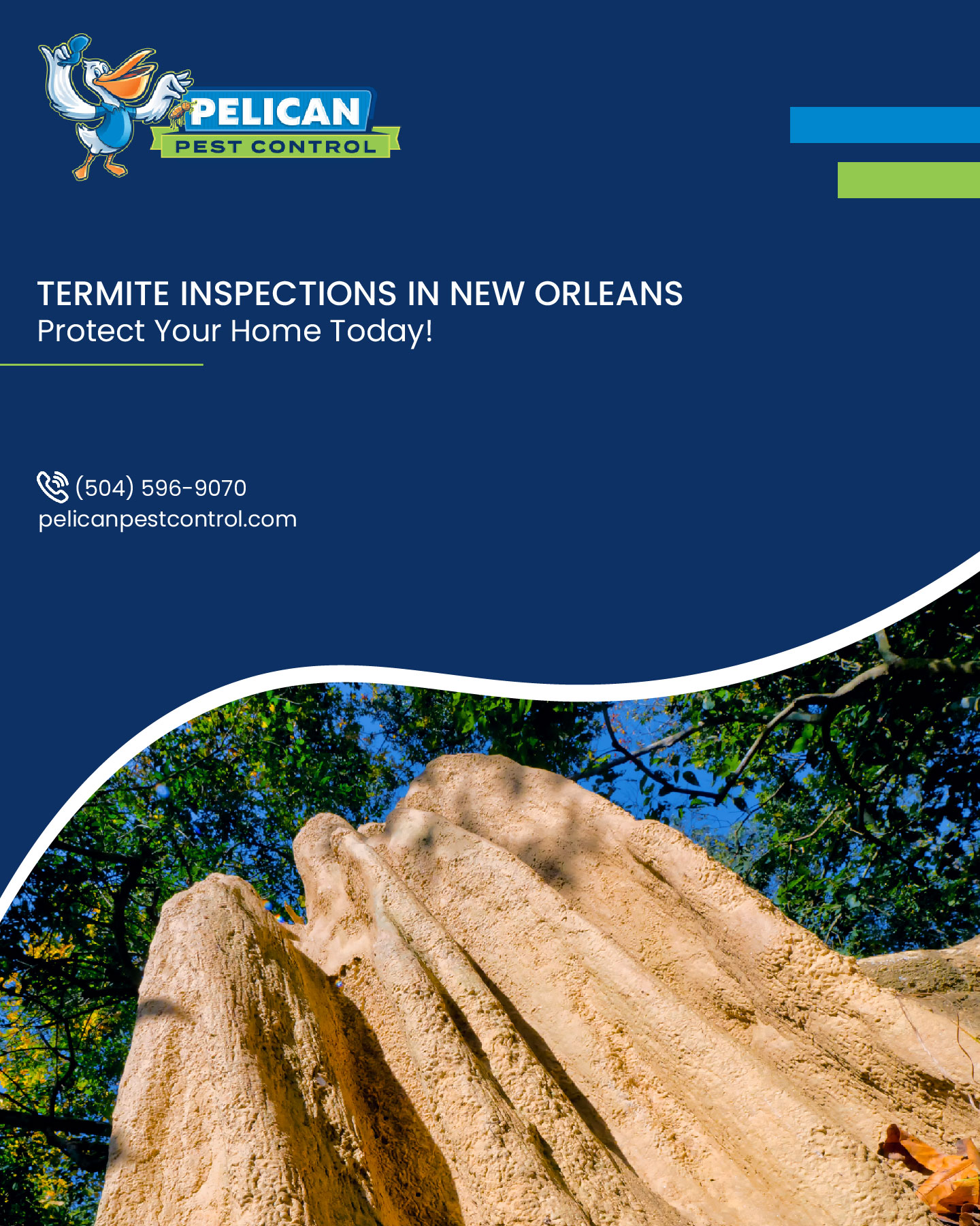 Pelican Pest Control Offering Professional Termite Inspections to New Orleans Homeowners