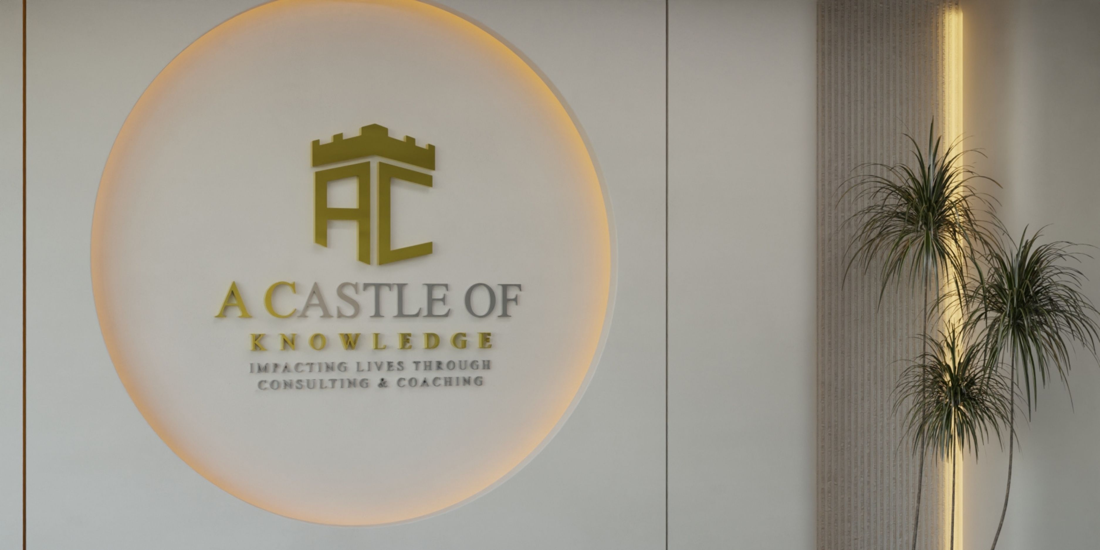 A Castle Of Knowledge, LLC Redefines Divorce Recovery For Professionals With Structured Empowerment Coaching