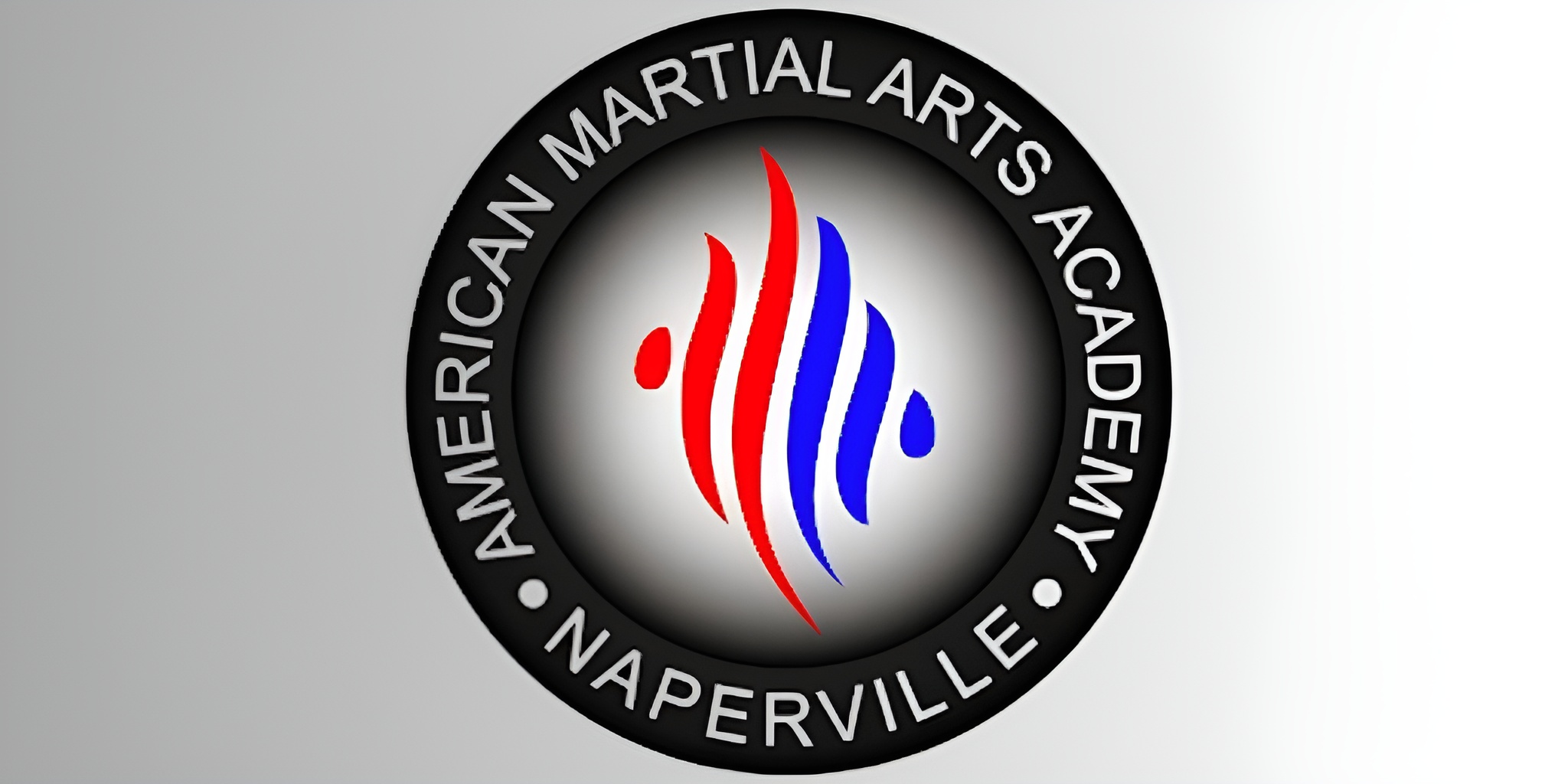 American Martial Arts Academy Named Best Martial Arts Studio In Naperville Of 2025 By Evergreen Awards