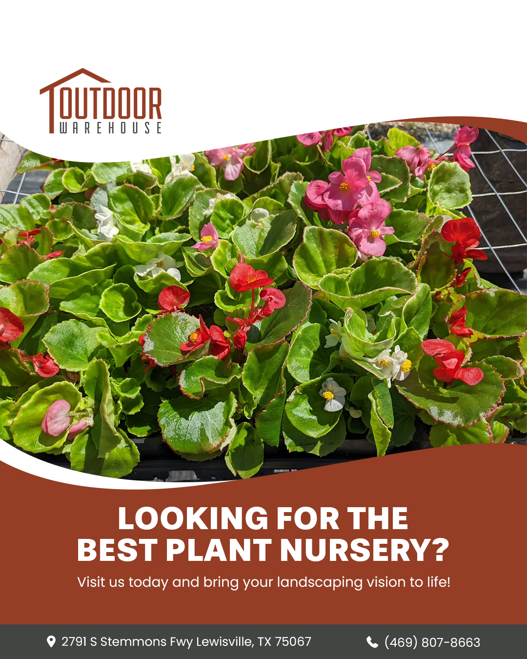 Trusted by Lewisville Locals: Outdoor Warehouse Supply Is the Go-To Plant Nursery Near Me for Gardeners and Landscapers