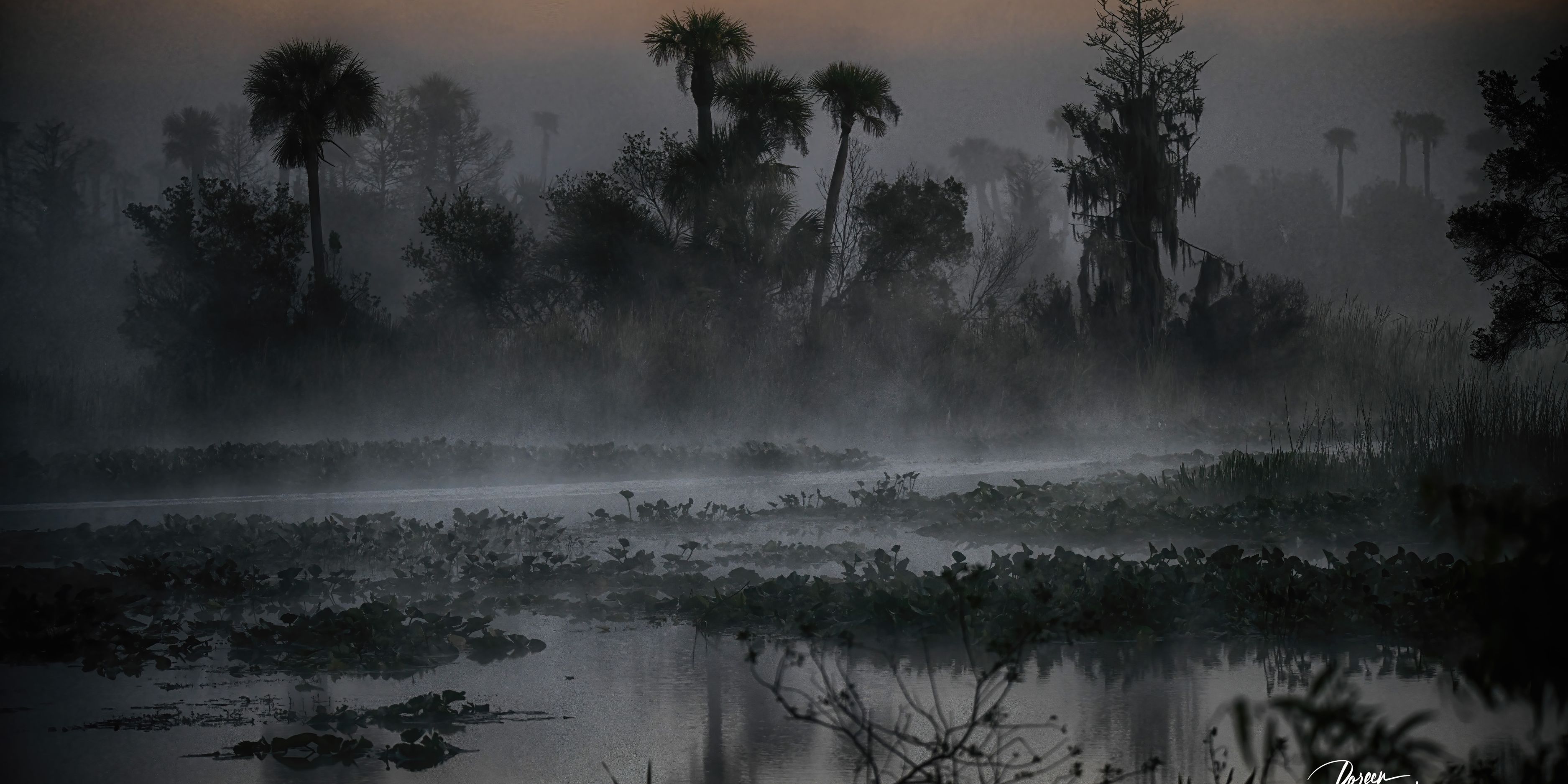 Curated Beauty: A Personalized Journey Through Fine Art Nature Photography With Doreen McGunagle