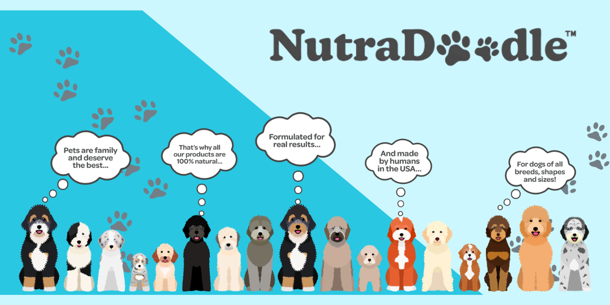NutraDoodle Paws The Market With Fun, Effective Dog Supplements
