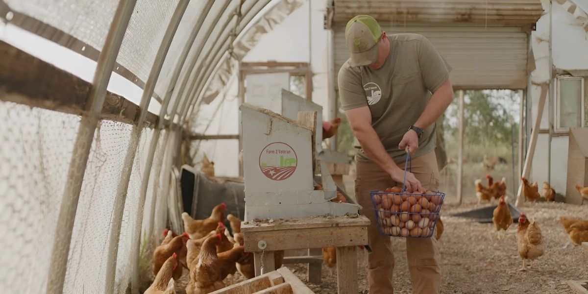 Farm2Veteran: Nourishing Those Who Served With Fresh Food And Fierce Purpose