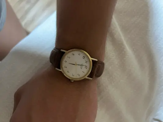 Citizen Vintage