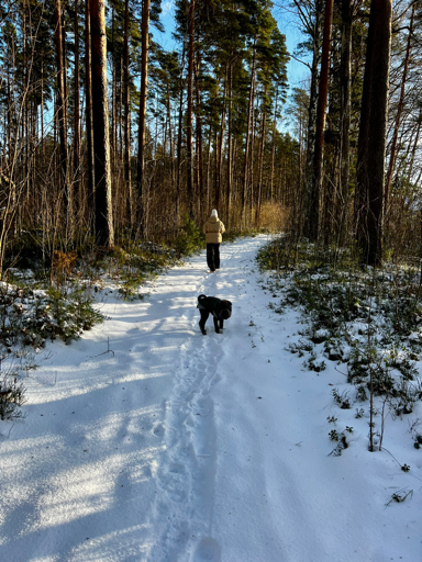 Walking in the morning event image
