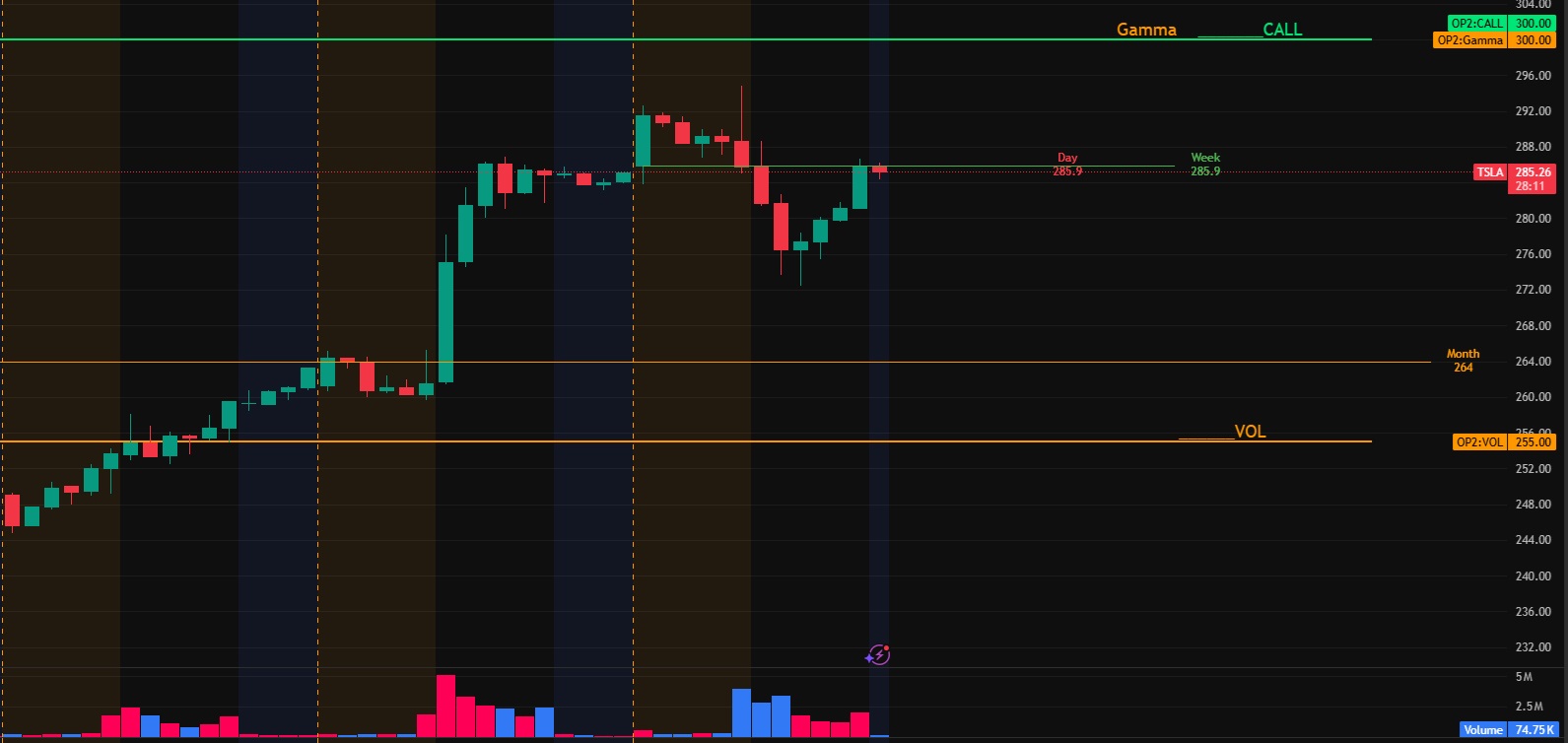 TSLA 차트