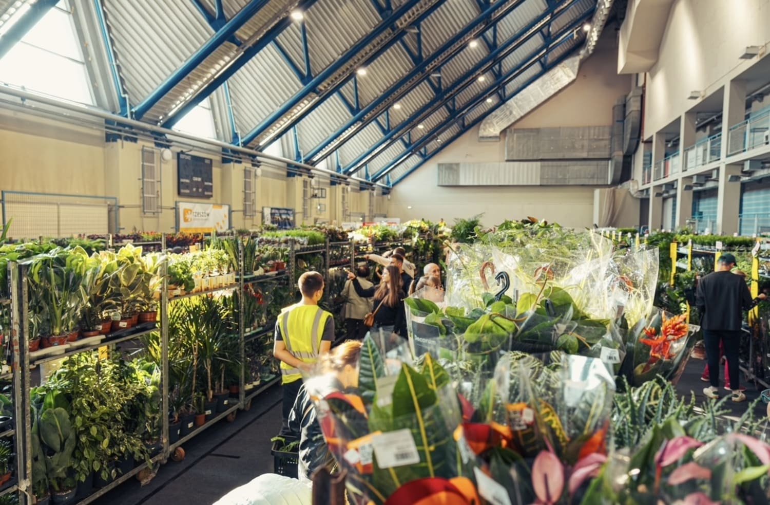 В Праге пройдет распродажа растений с мероприятия Festival Rostlin