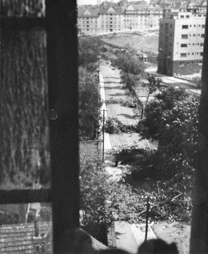 Срублены деревья для строительства баррикады на улице Radimova. Май 1945 года.