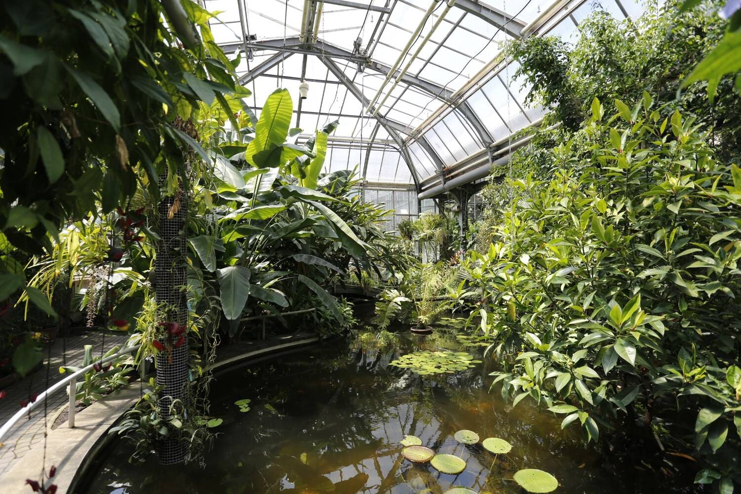 Botanická zahrada Přírodovědecké fakulty UK