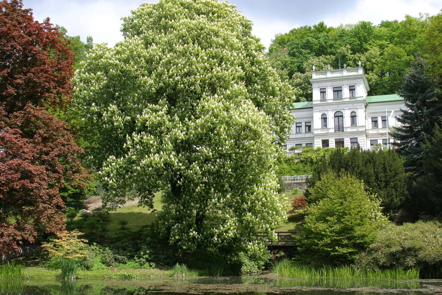 Botanická zahrada Střední odborné školy Jarov