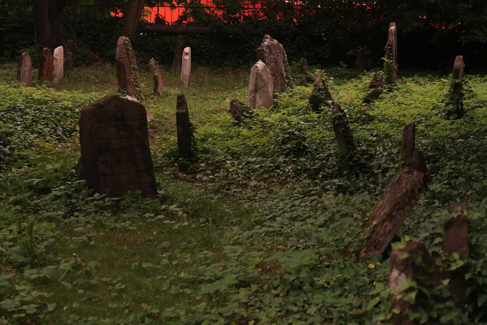 Еврейское кладбище в Колине