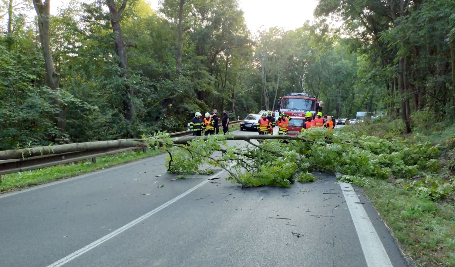 В Чехии на движущийся автомобиль упало дерево. Позже в автоцистерну прибывших пожарных врезалась другая машина
