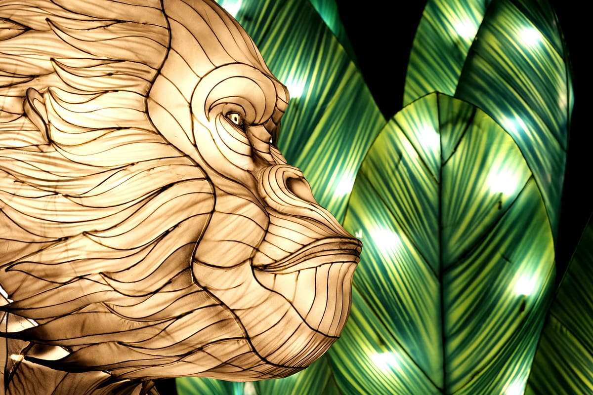 В пражском зоопарке вновь откроется световая выставка Světelná zoo