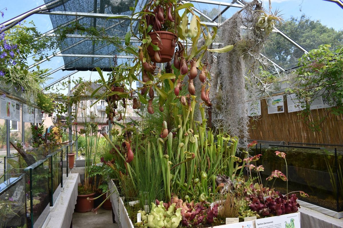 Botanická zahrada Třeboň