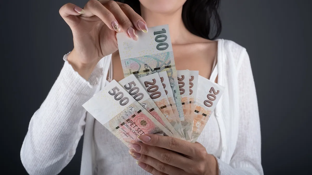 В Чехии завели дела на трех украинок, которые получали пособия, несмотря на то что жили на родине