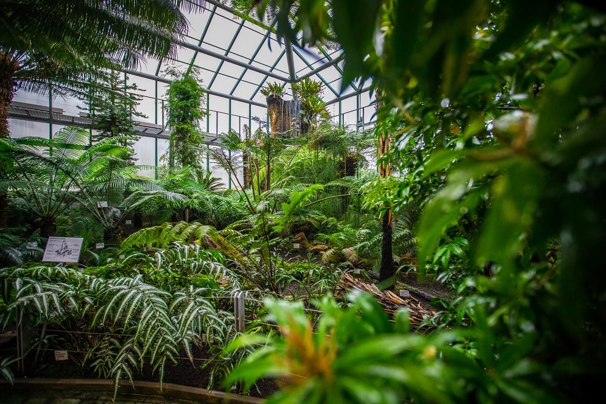 Botanická zahrada Liberec