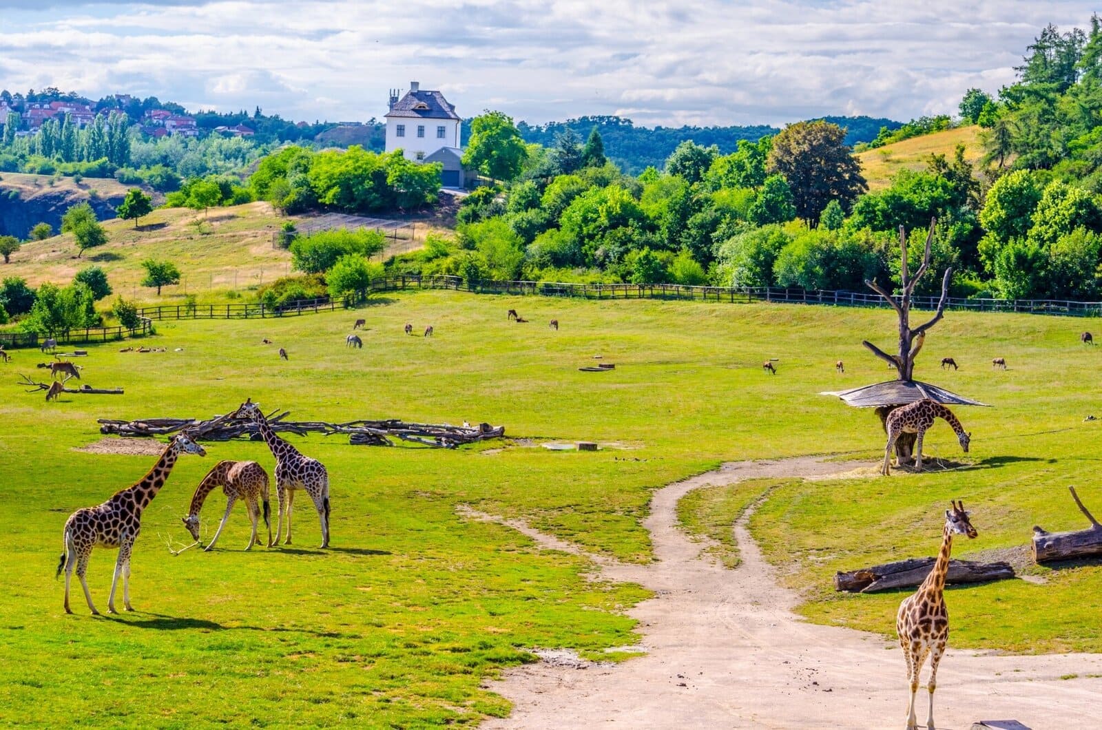 пражский зоопарк