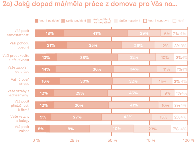 Опрос показал отношение чехов к работе из дома