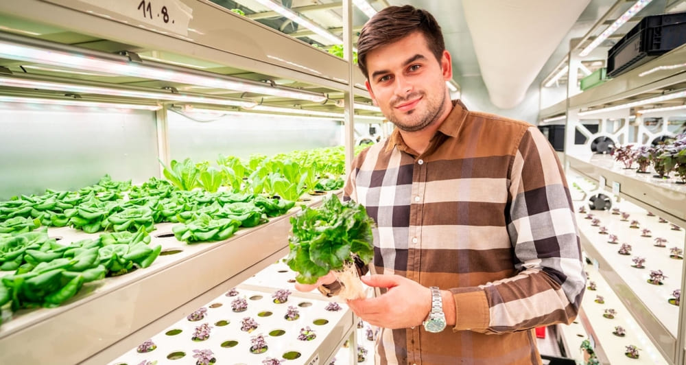 Дмитрий Липовский,&nbsp;CEO GreenTech 