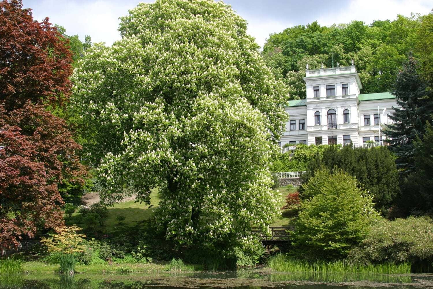 Botanická zahrada Střední odborné školy Jarov