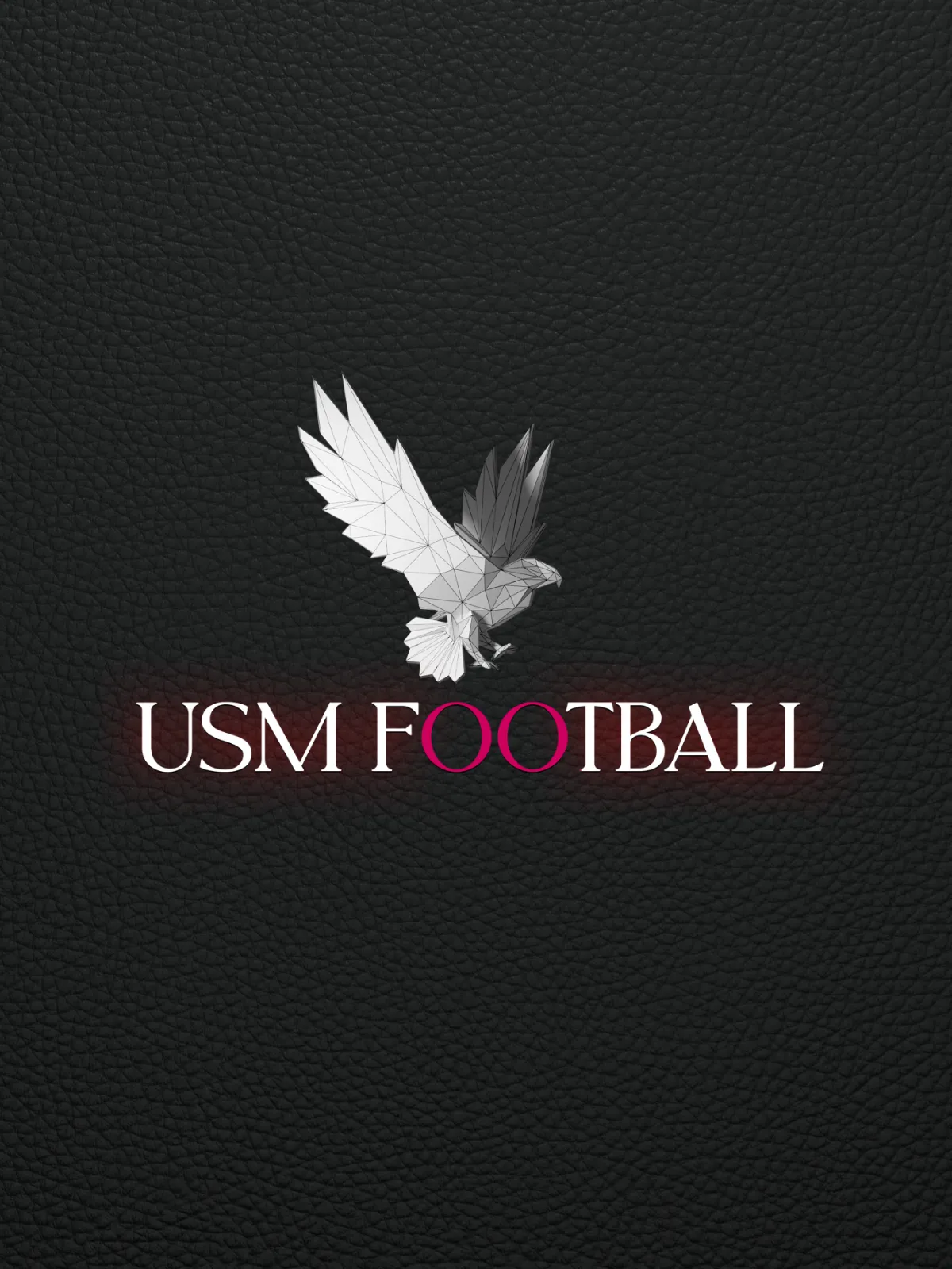 L'Agence USM Football