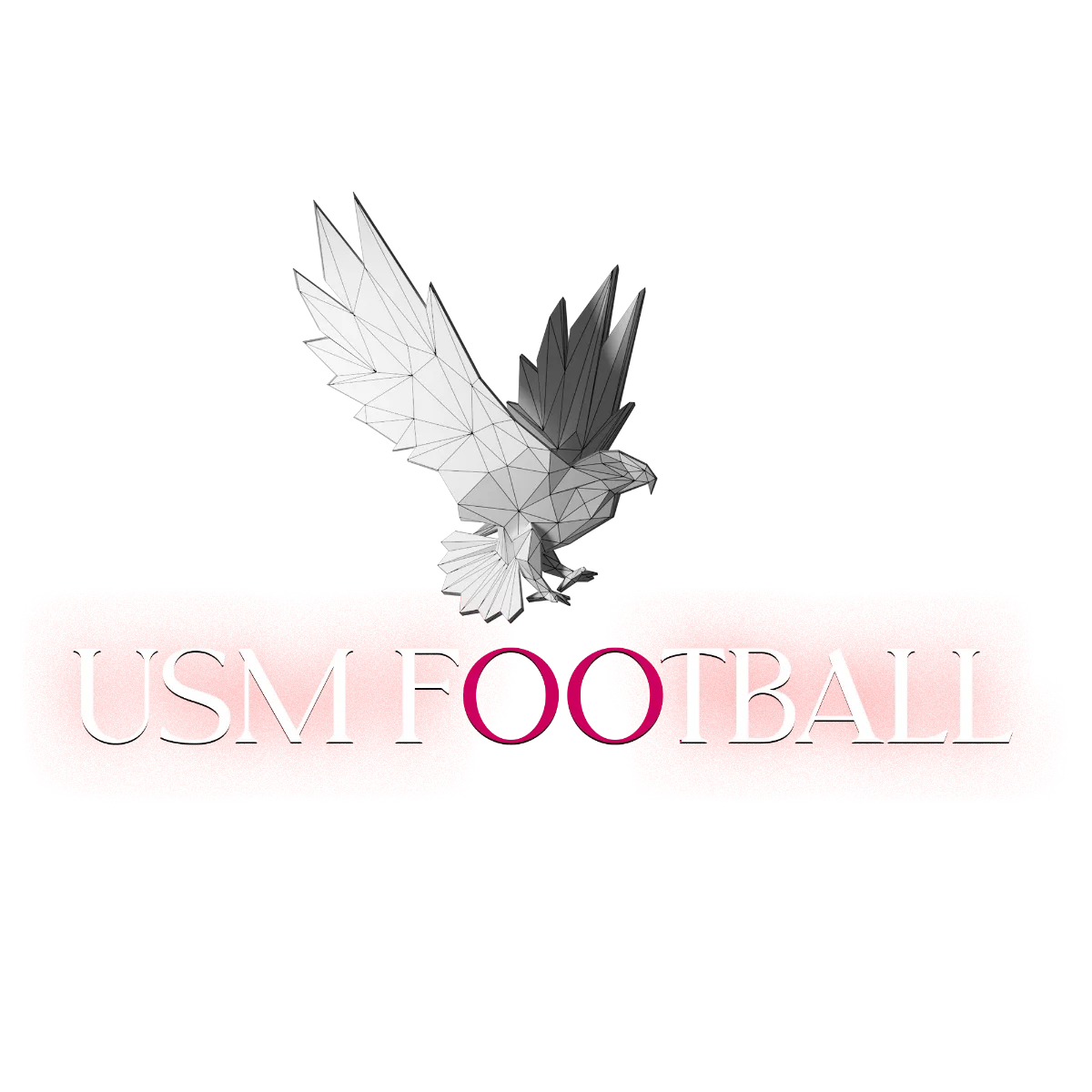 USM Football