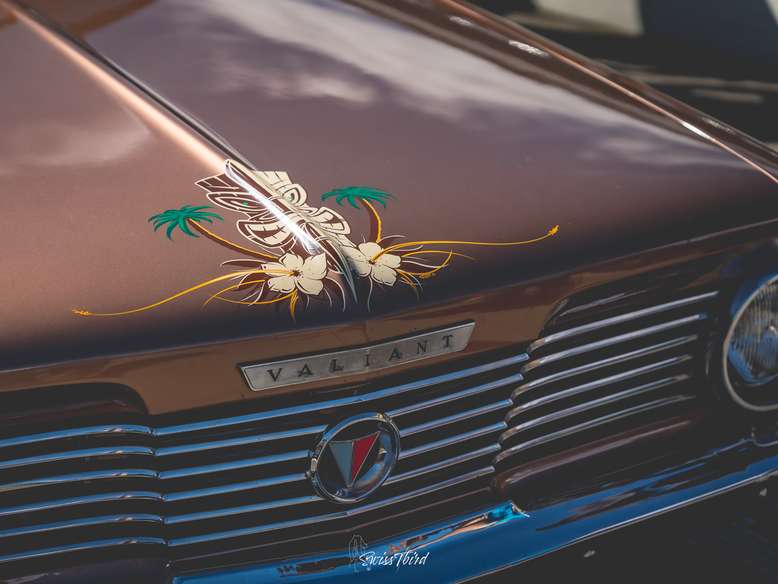 Photo de l'édition 2025 du US Meeting Oron