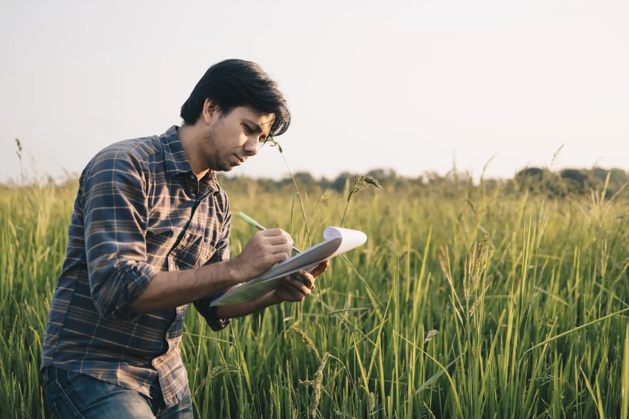 Person in the field collecting data