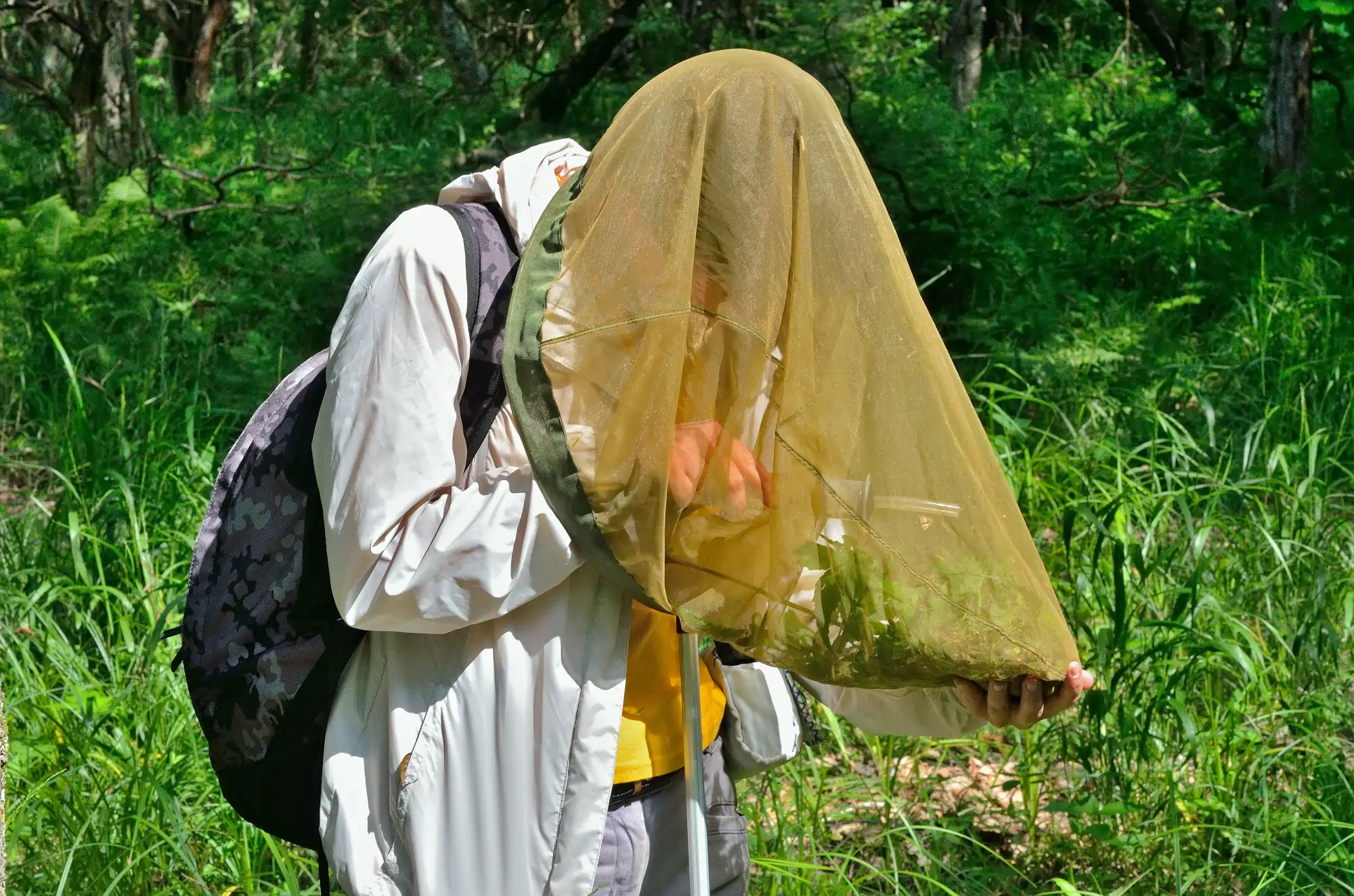 Person in the field collecting data