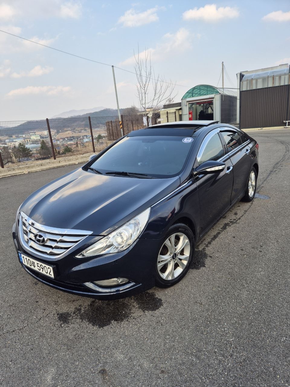 Sonata 2010