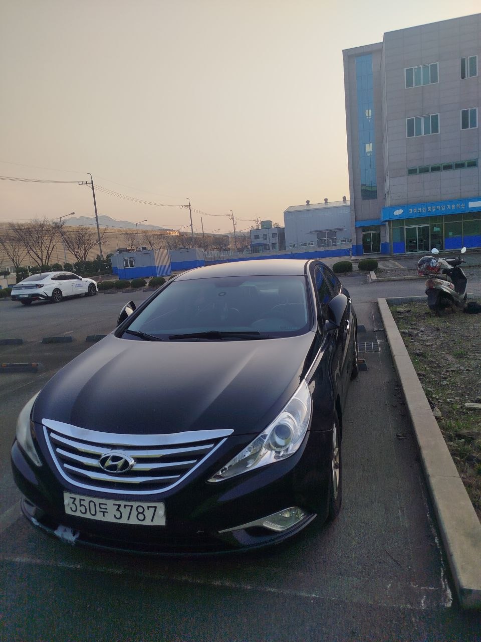 Sonata 2012