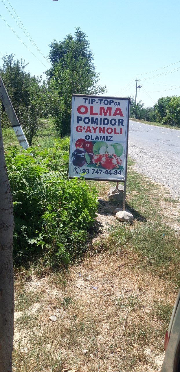 Tip topga olma olamiz