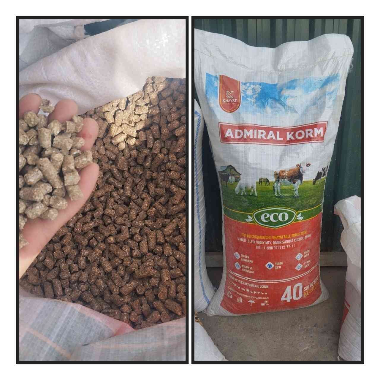 Admiral Korm 40kg