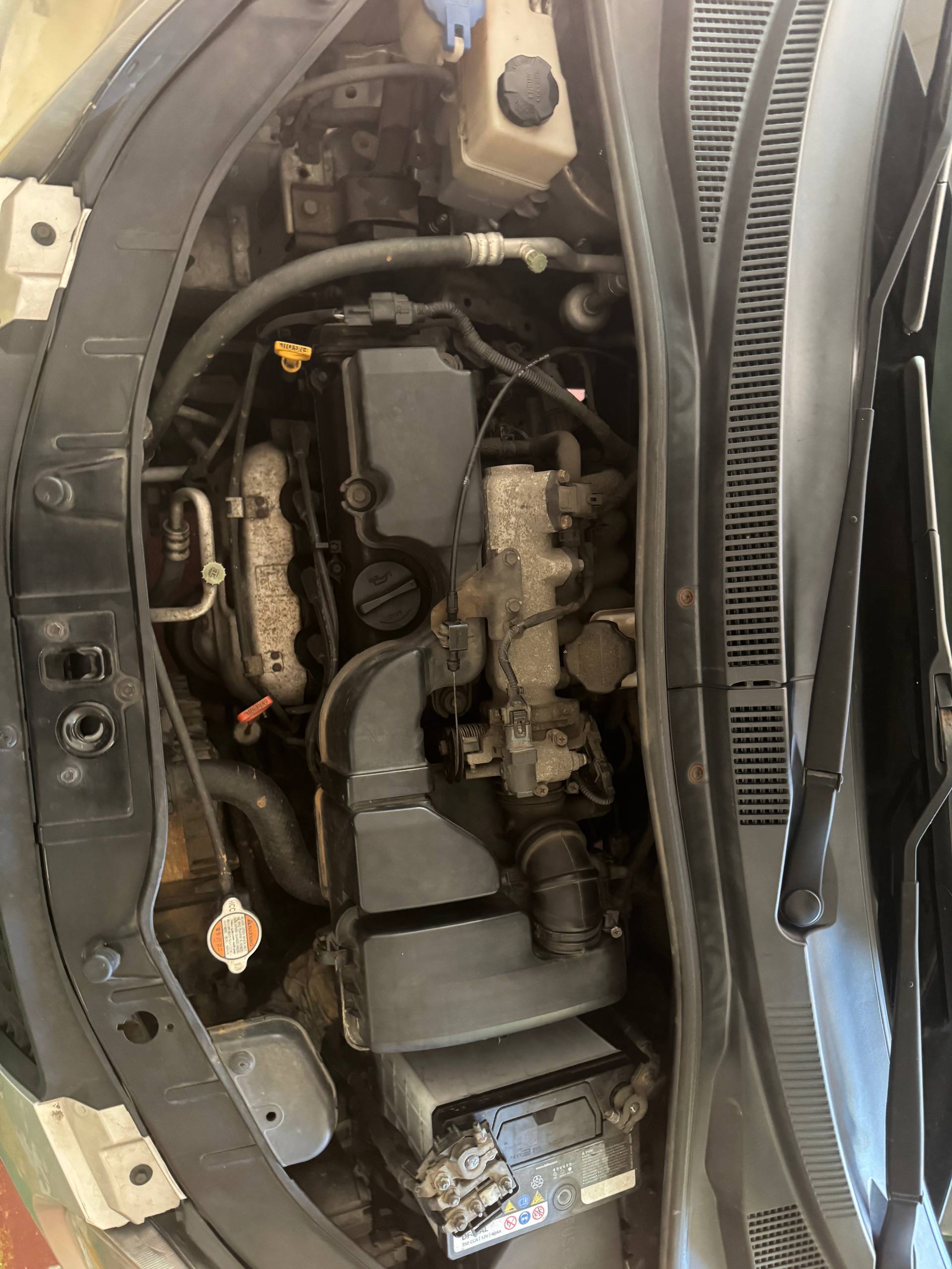 Kia 2008