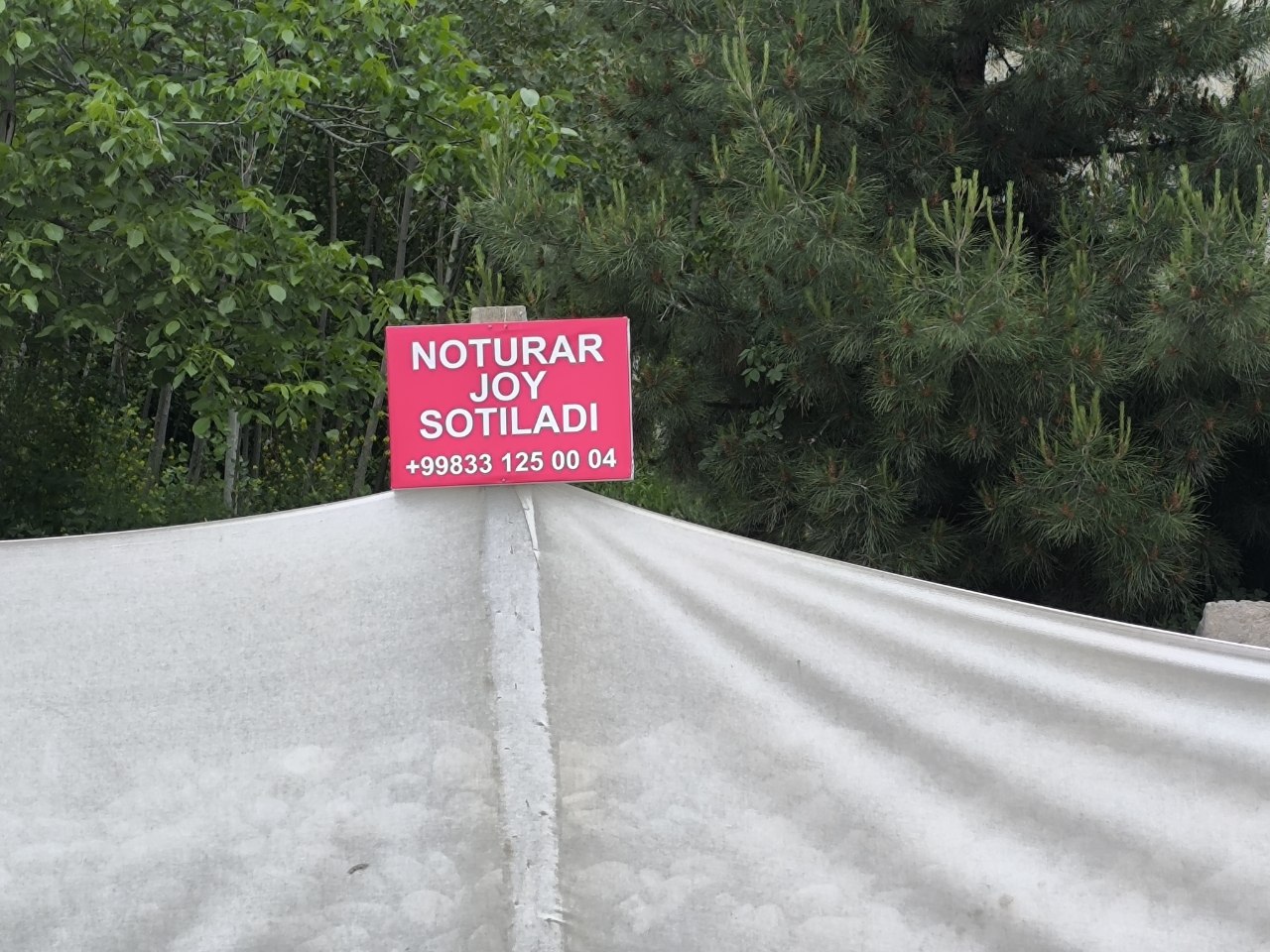 Noturar joy
