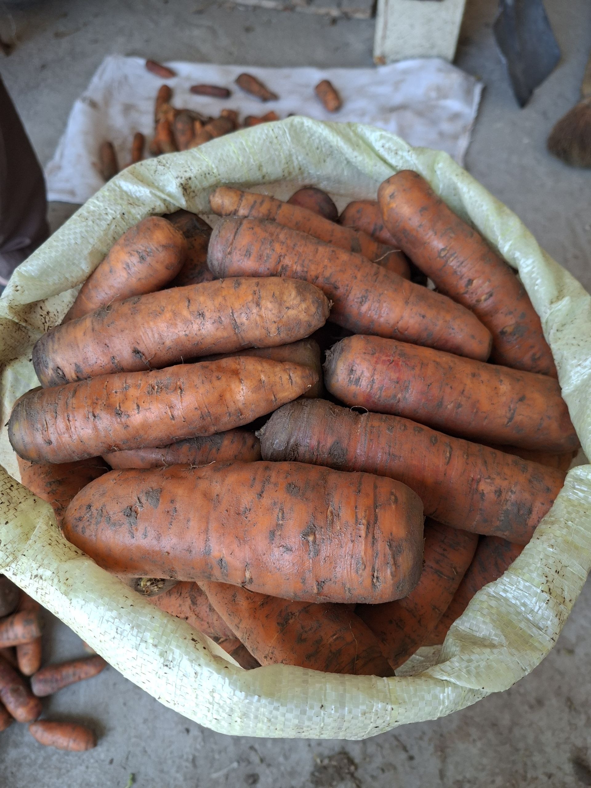 50 tonna sabzi — Farg'onada