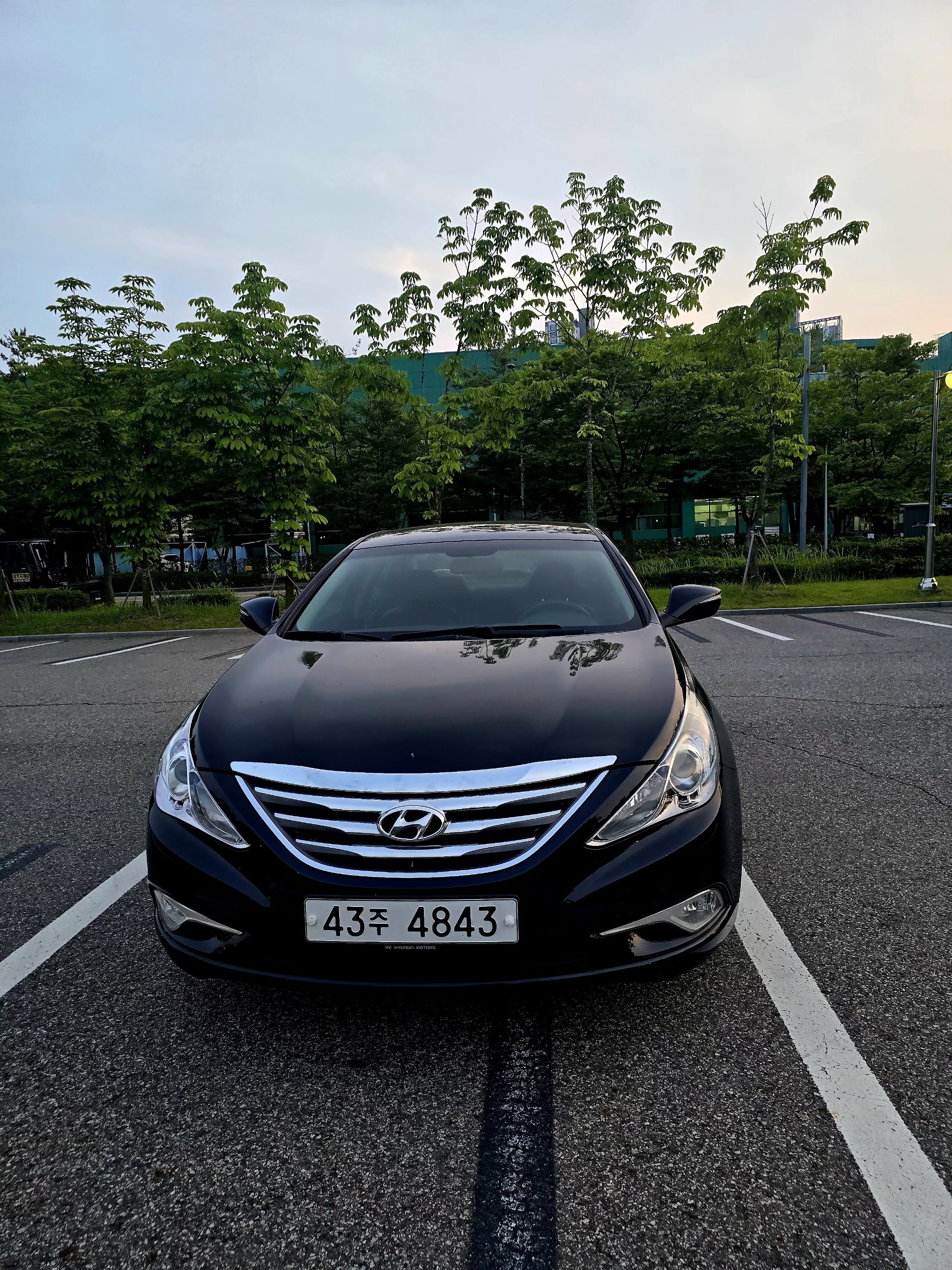Sonata 2012